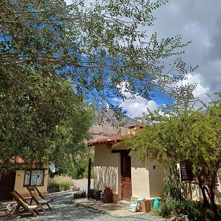 Villa Cactus Y Almacen - Purmamarca Exterior foto